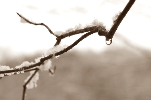 melting_snow Snow